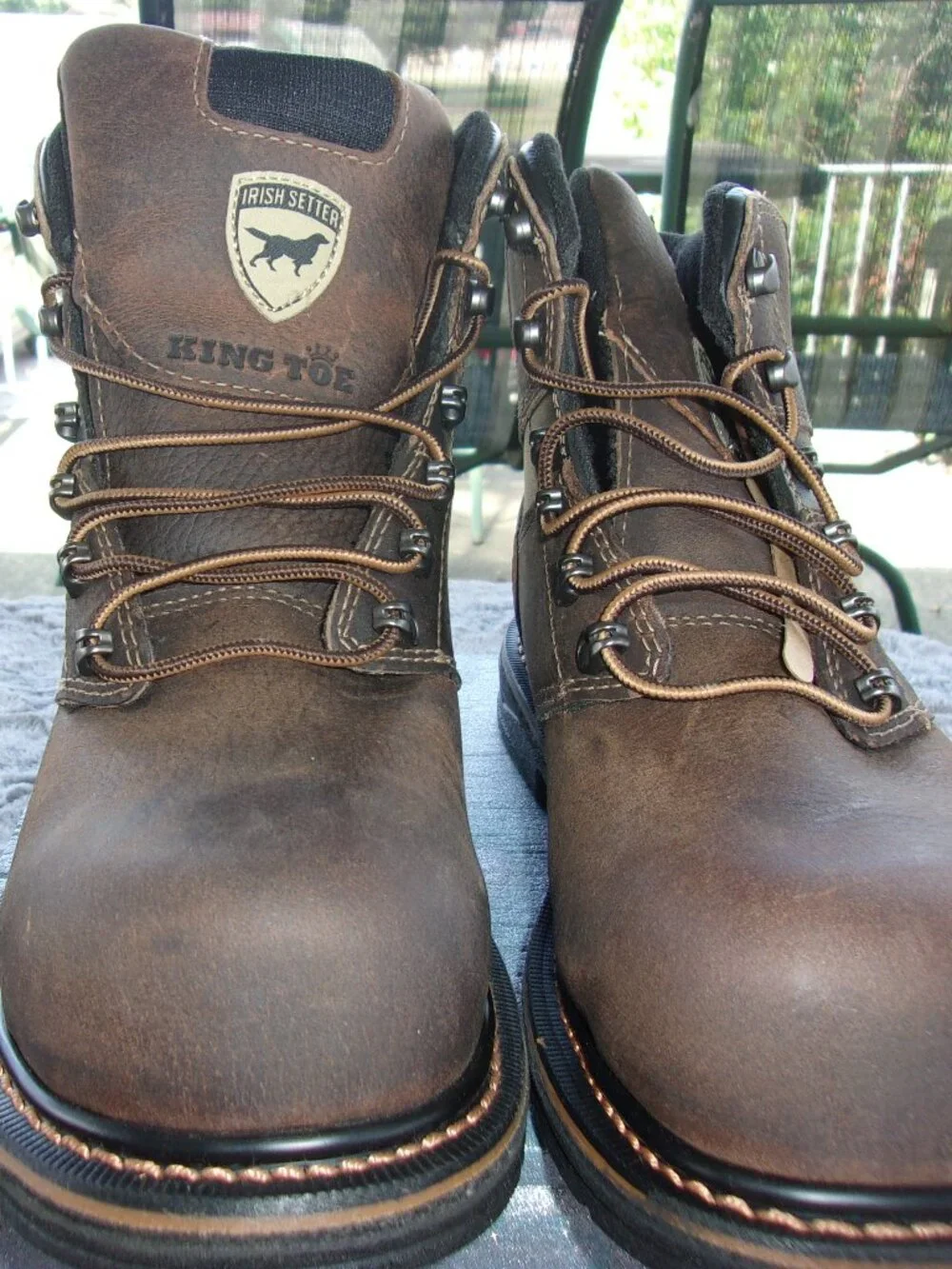 Irish Setter this pair